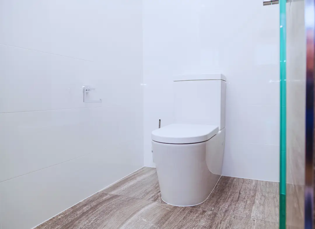 Remplacement de wc Saint-Jean